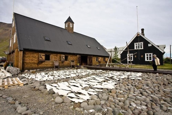 Hotel Isafjordur Horn (Ísafjörður)